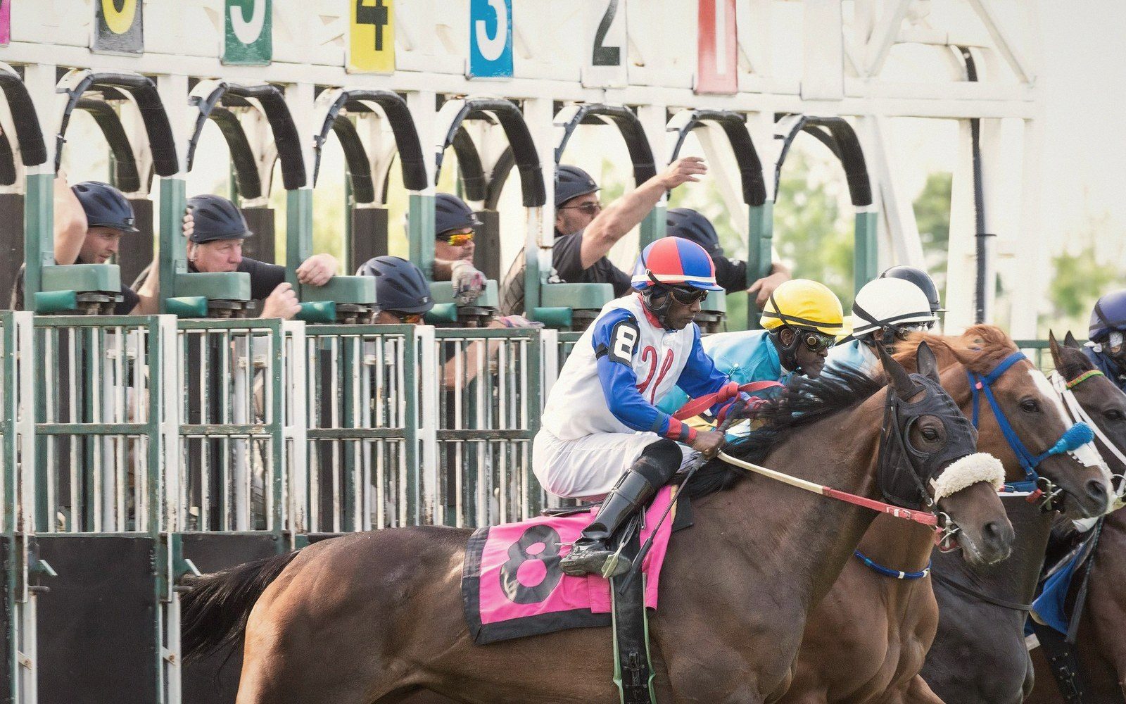 Jockeys and horses burst from the starting gates at the beginning of a race