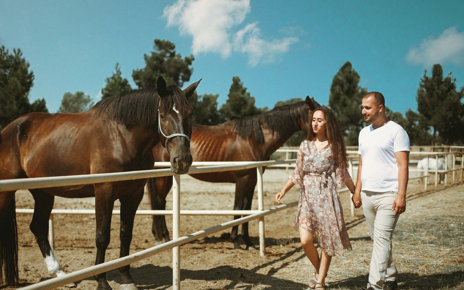 A couple walks hand in hand past horses standing at a fenced paddock