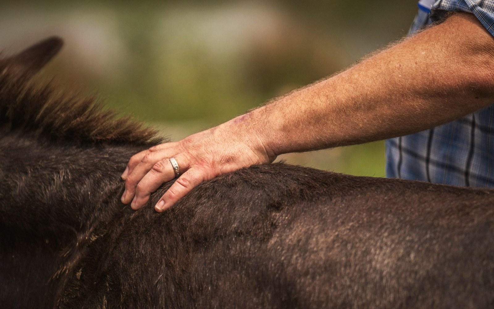 A hand resting flat on a neck