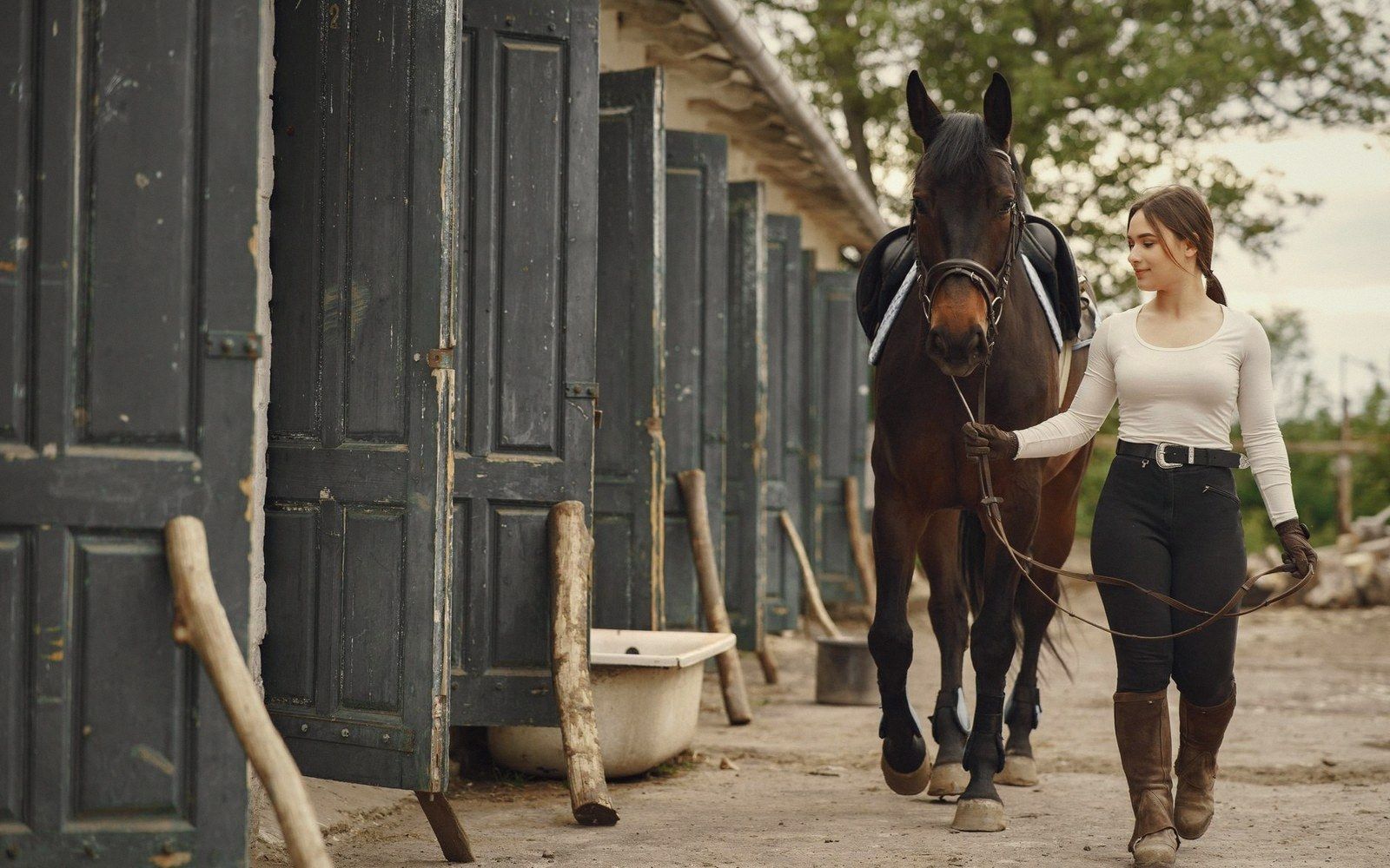 A quiet yard, one adult leading a horse